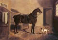 厩舎のニシンシニアジョン・フレデリック馬のお気に入りのコーチ馬と犬